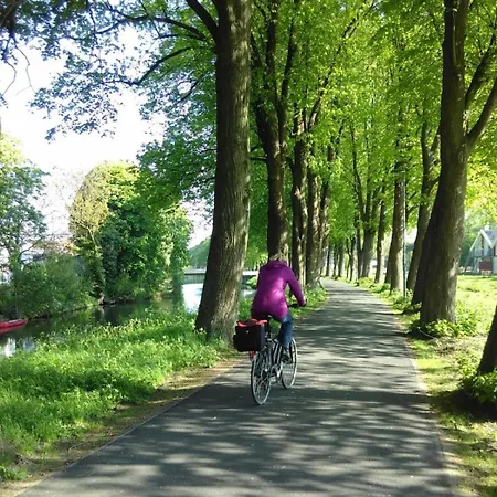 Nino-boardinghouse 21